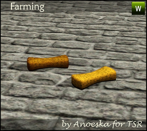Sims 3 — Farming Sponge by AnoeskaB — Sponge, part of the Farming Set. TSRAA.