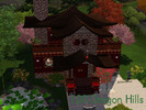 Sims 3 — 100 Dragon Hills by siminulator2 — Comfortable Chinese vacation home complete with relic room and basement that