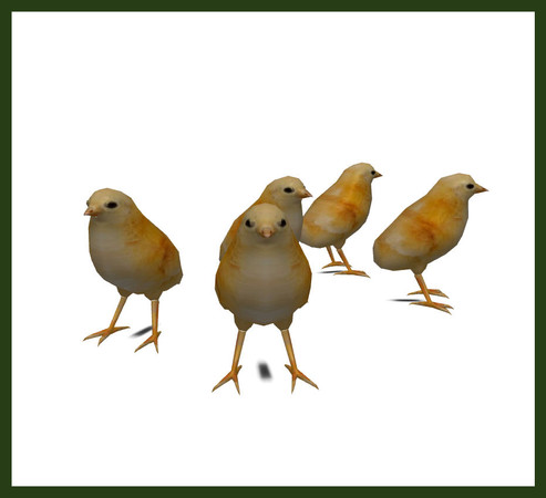 Sims 3 — Baby Chicks Deco  by rebecah — Baby Chicks Deco by Rebecah