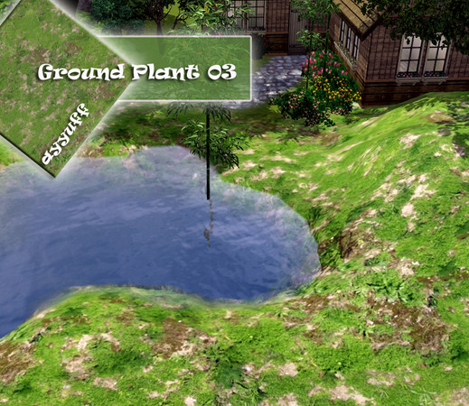 Sims 3 — Ground Plants 03 by ayyuff — 