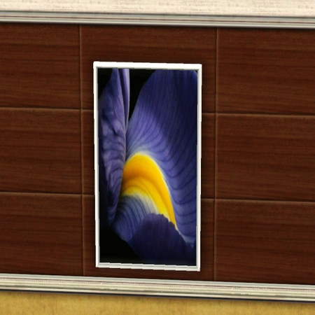 Sims 3 — Iris by jadepanther198303 — Wall art