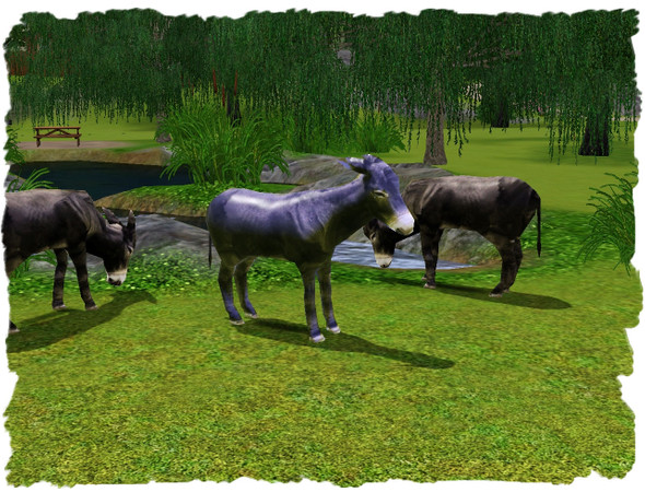 Sims 3 — Donkeys by rebecah — Decorative Donkeys by Rebecah