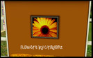 Sims 3 — Flowers_Crayonz by Crayonz — Gorgeous Flower Photos For your nature loving sims!