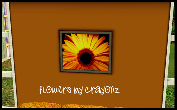 Sims 3 — Flowers_Crayonz by Crayonz — Gorgeous Flower Photos For your nature loving sims!