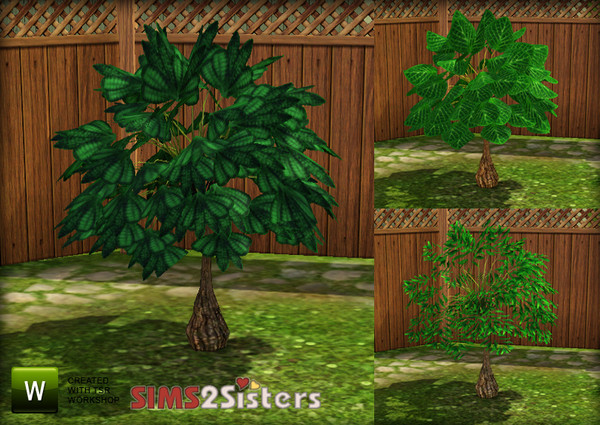 Sims 3 — S2S Tree by sims2sisters — Tree has 2 recolorable palettes: trunk and leaves. Package includes 3 various tree