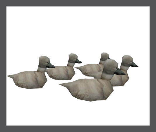 Sims 3 — Baby Swans by rebecah — Baby Swans by Rebecah