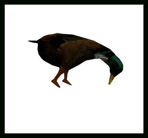 Sims 3 — Duck Head in Water by rebecah — Duck Head in Water by Rebecah