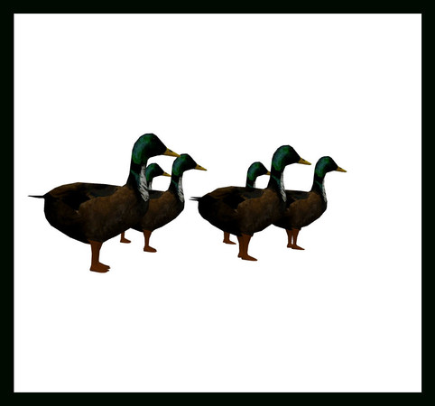 Sims 3 — Ducklings by rebecah — Ducklings by Rebecah