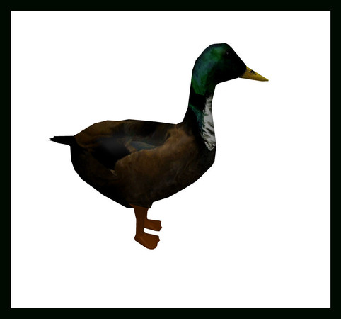 Sims 3 — Duck Stand On Land by rebecah — Duck Stand On Land by Rebecah