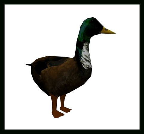Sims 3 — Duck Standing by rebecah — Duck Standing by Rebecah