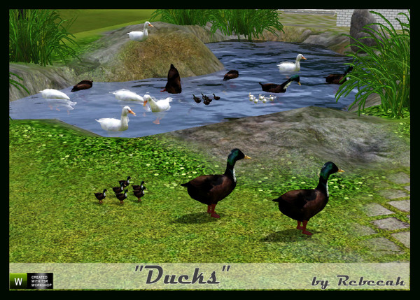 Sims 3 — Ducks for Land and Water by rebecah — 4 Duck poses and ducklings for land and water, all items are $50 and found