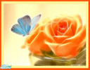 Sims 2 — A Rose 4 by febgirl735 — Beautiful rose painting