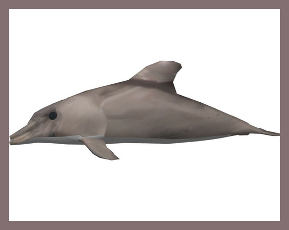 Sims 3 — Dolphin by rebecah — Dolphin by Rebecah