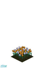 Sims 1 — Golden color changed tulips! by MasterCrimson_19 — Golden color changed tulips for your garden! These tulips