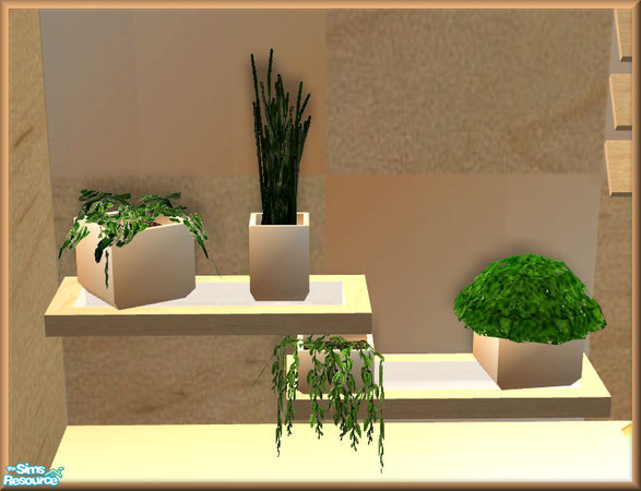 Sims 2 — NK Maya Kitchen Herbs by MoMama — A nice selection of herbs in a set of peach pots on maple and glass shelves.