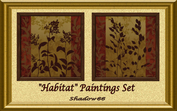 Sims 3 — S66 - Habitat Flowers Paintings Set by shadow66 — A set of two paintings of wild flowers called