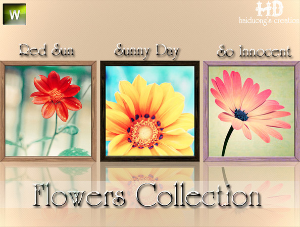Sims 3 — Flowers Collection by haiduong — A set of flowers paintings perfect for your lovely home.