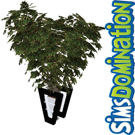Sims 3 — SD NFJ Luxury Set Plant by Nayara — SD NFJ Luxury Set Plant SIMSDOMINATION www.simsdomination.com Esse download