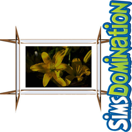 Sims 3 — SD NFJ Luxury Set Painting Flowers by Nayara — SD NFJ Luxury Set Painting Flowers SIMSDOMINATION