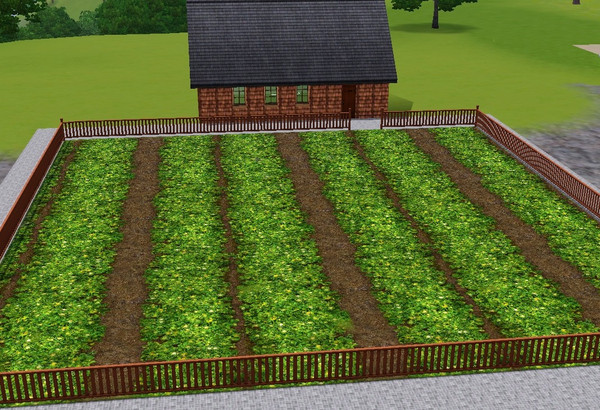 Sims 3 — crops horizontal by daisylee — based on the EA terrain paint in CAW TSRAA by daisylee