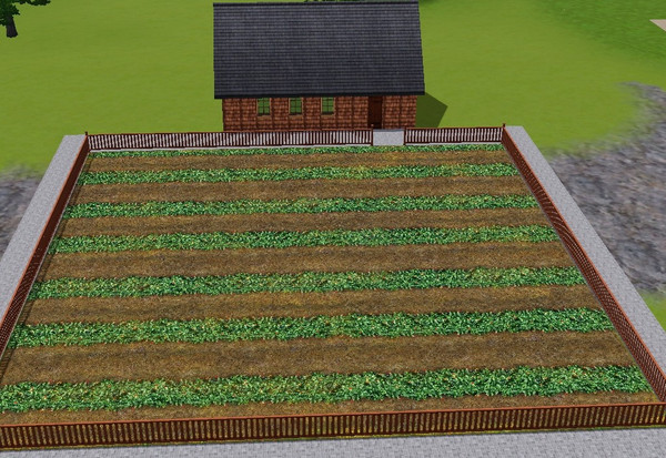 Sims 3 — crops vertical by daisylee — based on the EA terrain paint from CAW TSRAA by daisylee