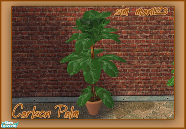 Sims 2 — Carlson Palm by sim_man123 — New plant mesh, part of my Carlson Wicker Patio.