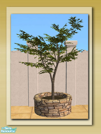 Sims 2 — Round Stone Maple Planter - Mesh by Shakeshaft — Part of a New 10 Mesh Set including Round Stone Planters, Live