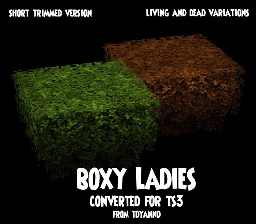 Sims 3 — Boxy Ladies Short by tdyannd — Part of a set of four hedges converted from TS2 as requested in the TSR forums by