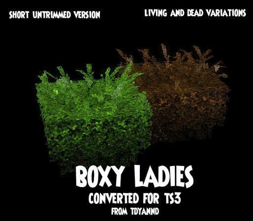Sims 3 — Boxy Ladies Short Overgrown by tdyannd — Part of a set of four hedges converted from TS2 as requested in the TSR
