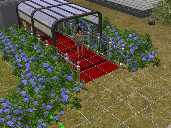 Sims 3 — outside entryway v1 by hotstuff196604 — an outside entryway created by les for use at the tsr. this is my second