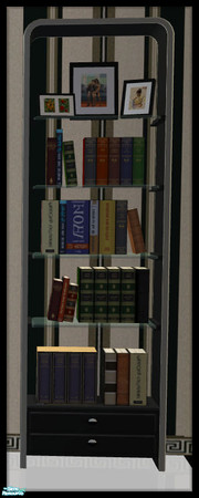 Sims 2 — NK Arizona BnW LR - Bookcase by MoMama — A bookcase in basic black with white trim.