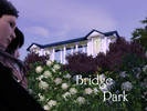 Sims 3 — bridge park by Sayuta — Decided to do something for all my sims, not just one family. So here's the "bridge
