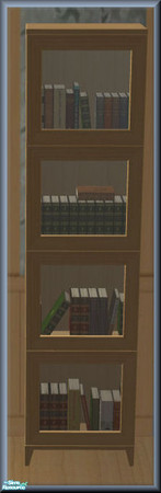 Sims 2 — NK TC35 Mallory LR - Bookcase by MoMama — A light wood bookcase with the books safely encased behind glass
