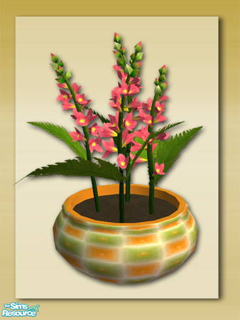 Sims 2 — Summer Days Extras:Snapdragon Pot by Shakeshaft — Part of a set of Patio Pots and Planters to compliment my