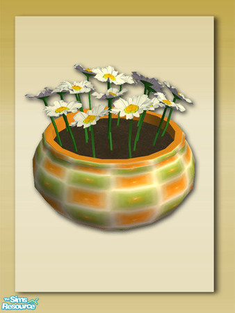 Sims 2 — Summer Days Extras: DaisyPot by Shakeshaft — Part of a set of Patio Pots and Planters to compliment my Summer