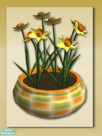 Sims 2 — Summer Days Extras: DaffodilPot by Shakeshaft — Part of a set of Patio Pots and Planters to compliment my Summer