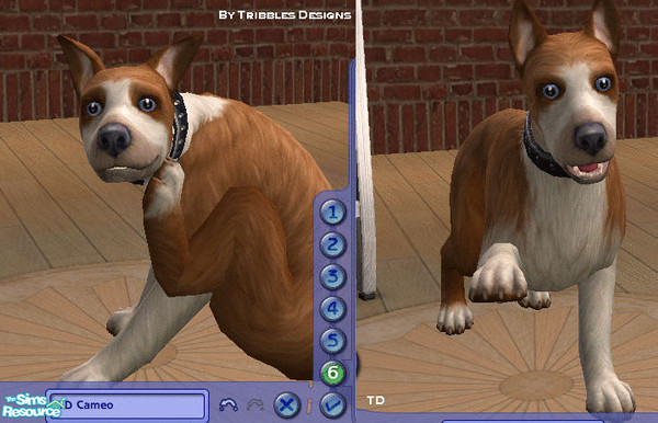 Sims 2 — TD Cameo by Sutie — This is my very first upload to this site. I hope you enjoy him :)