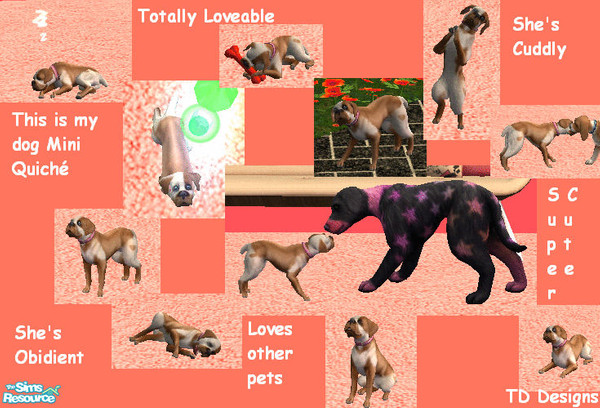 Sims 2 —  by Sutie — An adorable small dog that loves to play and is very friendly towards other dogs :)