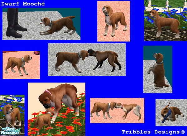 Sims 2 —  by Sutie — 