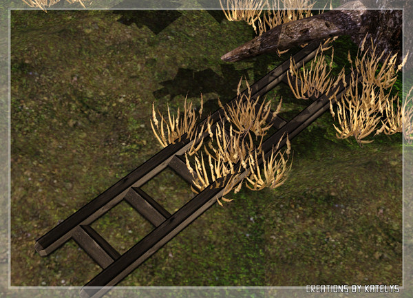 Sims 3 — Deer park - Ladder 01 by katelys — A decorative outdoor object.