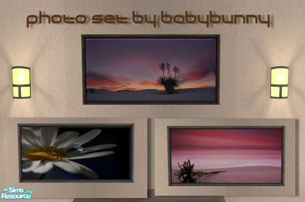 Sims 2 — Photo Collection 01 by Babybunny — 