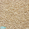 Sims 2 — Creamy by Desterada — Carpet