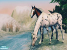 Sims 2 — Seeing Spots - Basic Horse Recolors by xtinabobina — Hey simmers! It\'s been a while, so I\'ve come back with a