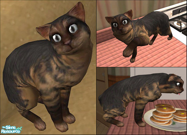 Sims 2 — Samson the Tigerlily by jcjoeyfreak — Looking for a happy kitty who will eagerly eat all your simmy pancakes