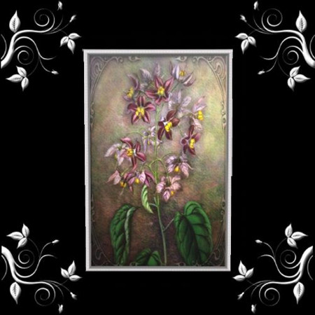 Sims 3 — Birthday Flower 3 by kiseger — Birthday Flower Lilac