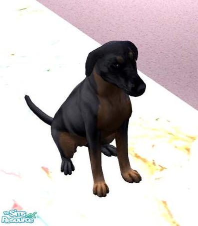 Sims 2 — Dachshund by christania — This is modeled after my little weiner dog, Peanut. Hope you like her!