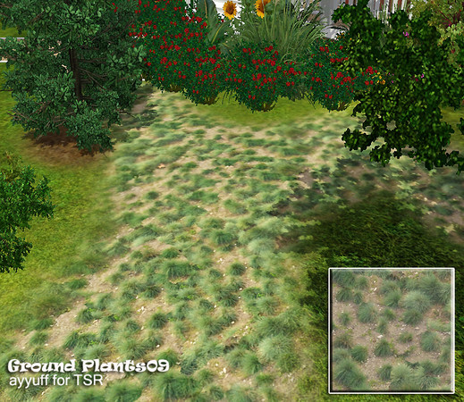 Sims 3 — Ground Plants09 by ayyuff — 