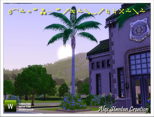 Sims 3 — Syagrus romanzoffiana (10m) by alex_stanton1983 — The Queen palm is a big palm tree with a feathery foliage