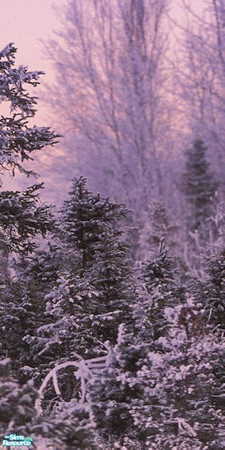 Sims 2 — Winter Murals - Snowman Mural 3 of 3 by Cerulean Talon — Serene and spectacular, this mural has 3 wall panels.