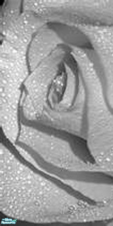 Sims 2 — flower by privileged18 — flower